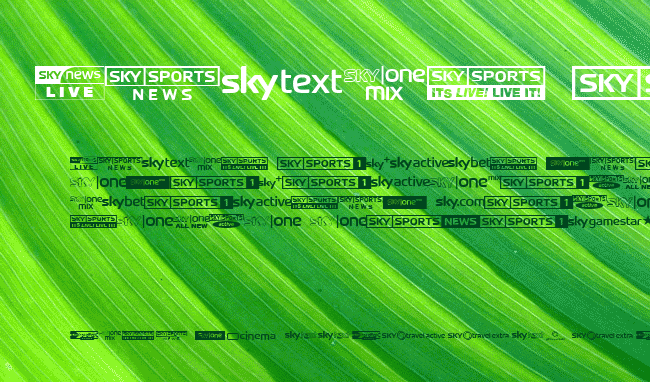 Sky TV Channel Logos example